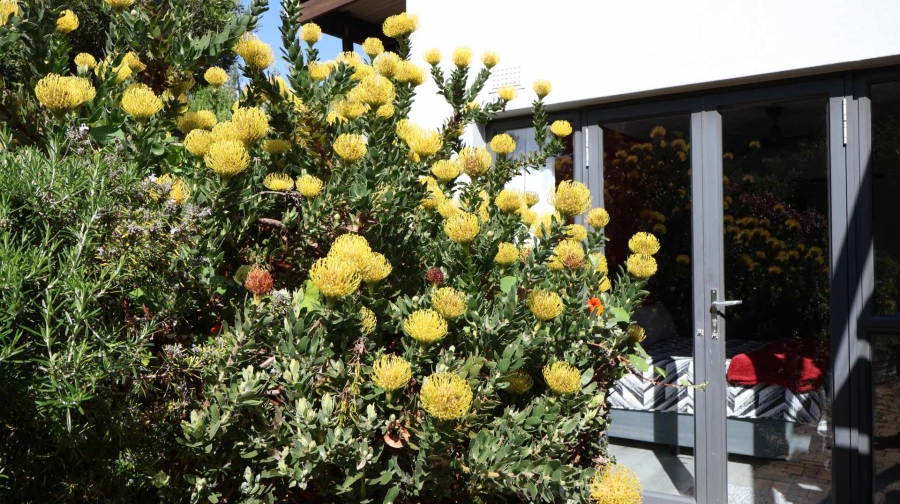 To Let 2 Bedroom Property for Rent in Noordhoek Western Cape